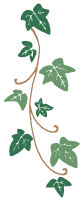 天然植物由来の原料