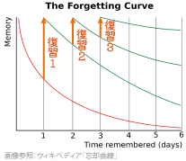 忘却曲線