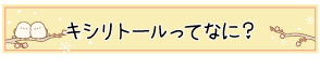 キシリトールってなに？