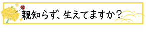 親知らず、生えてますか？