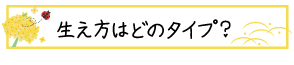 生え方はどのタイプ？