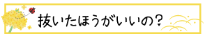 抜いたほうがいいの？